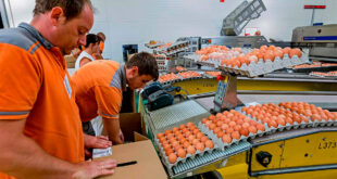 EMPACADORA DE HUEVOS SOLICITA PERSONAL URGENTE